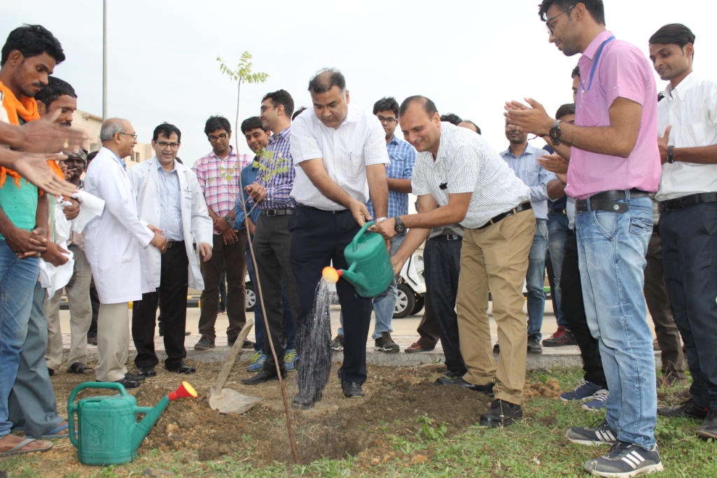 Tree saplings were planted on World Environment Day
